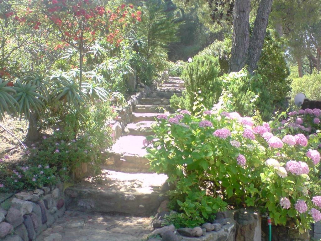 גלריה Auberge Ferayola מראה חיצוני תמונה