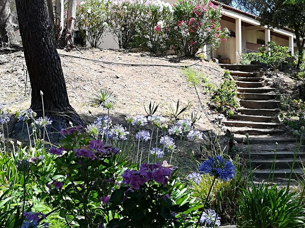 גלריה Auberge Ferayola מראה חיצוני תמונה